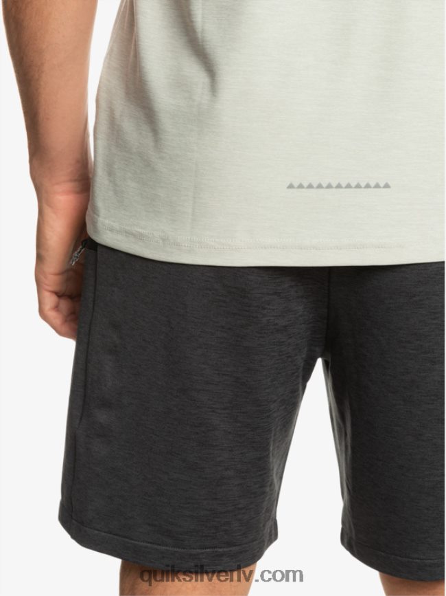 vīriešiem Quiksilver muskuļu tvertne pelēki violets virši 88064R930