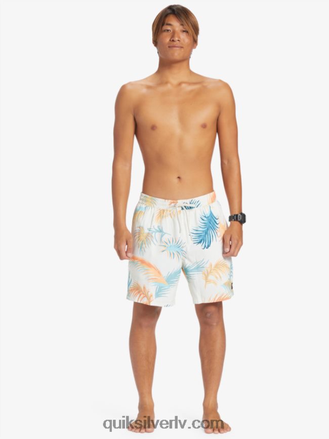 vīriešiem Quiksilver atkārtoti samaisa 17 zalves bērzs 88064R355
