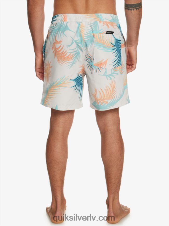 vīriešiem Quiksilver atkārtoti samaisa 17 zalves bērzs 88064R355