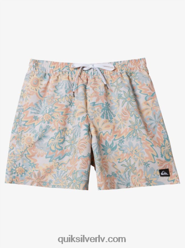 vīriešiem Quiksilver atkārtoti samaisa 17 zalves bērzs 88064R357