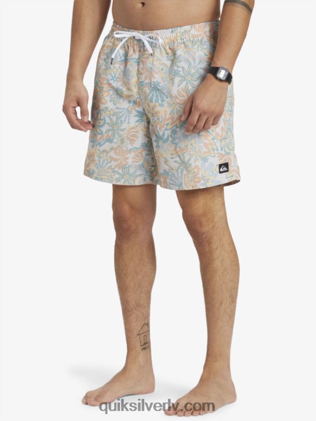 vīriešiem Quiksilver atkārtoti samaisa 17 zalves bērzs 88064R357