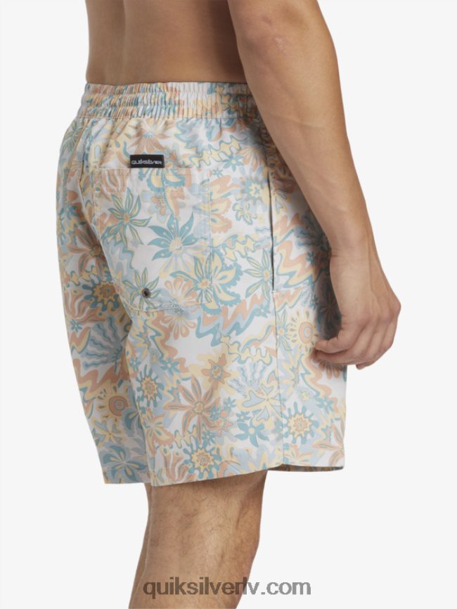 vīriešiem Quiksilver atkārtoti samaisa 17 zalves bērzs 88064R357
