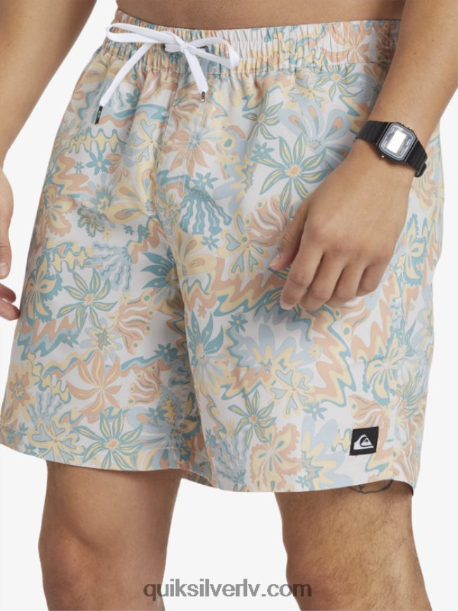 vīriešiem Quiksilver atkārtoti samaisa 17 zalves bērzs 88064R357