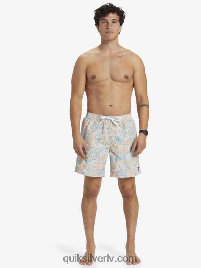 vīriešiem Quiksilver atkārtoti samaisa 17 zalves bērzs 88064R357