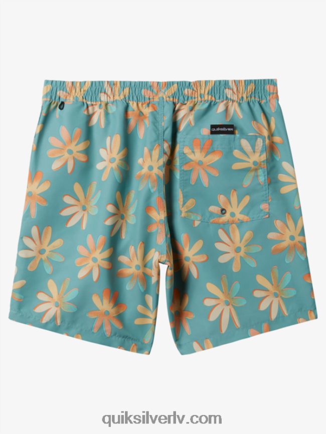 vīriešiem Quiksilver atkārtoti samaisa 17 zalves kameja zils 88064R353