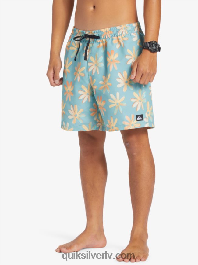 vīriešiem Quiksilver atkārtoti samaisa 17 zalves kameja zils 88064R353