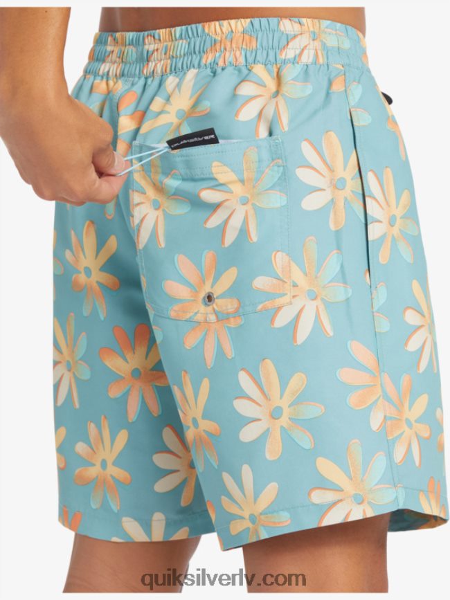 vīriešiem Quiksilver atkārtoti samaisa 17 zalves kameja zils 88064R353