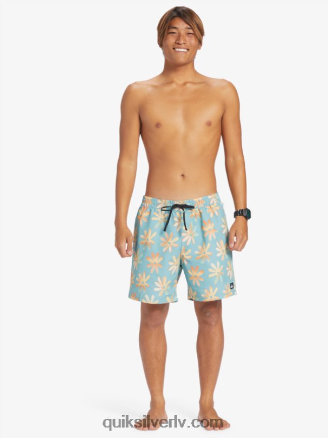 vīriešiem Quiksilver atkārtoti samaisa 17 zalves kameja zils 88064R353