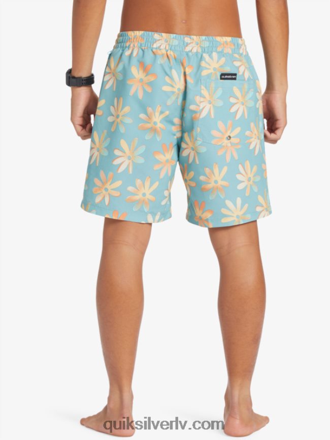 vīriešiem Quiksilver atkārtoti samaisa 17 zalves kameja zils 88064R353