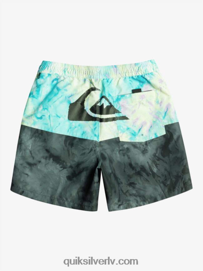vīriešiem Quiksilver butt logo 17 zalves melns 88064R486