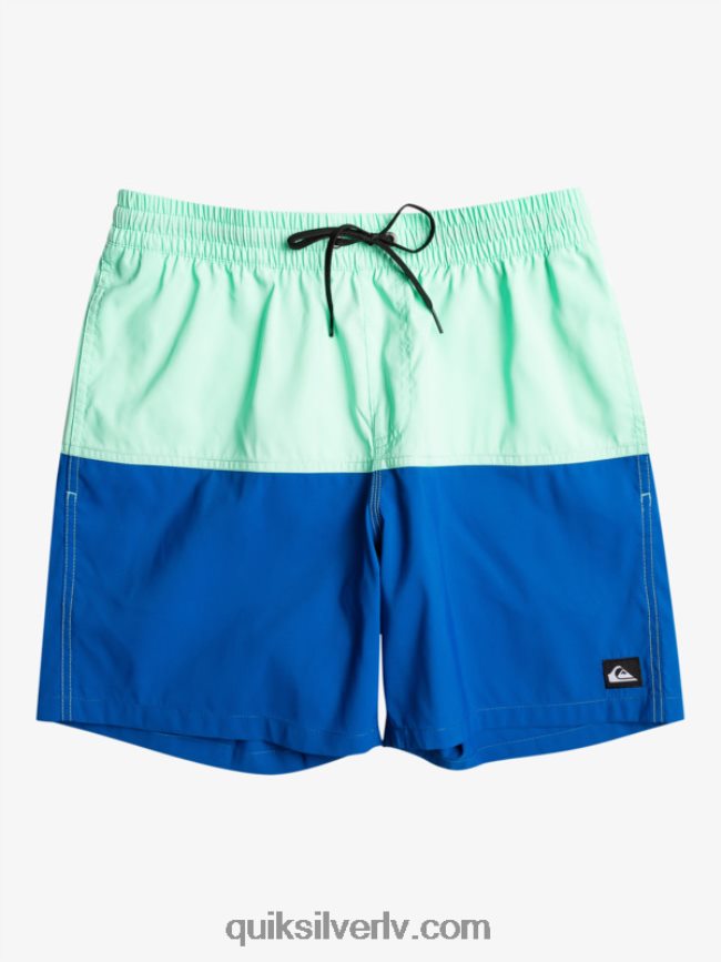 vīriešiem Quiksilver butt logo 17 zalves snorkel zils 88064R485