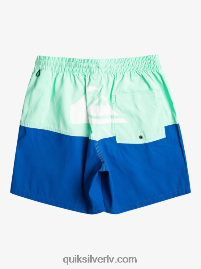 vīriešiem Quiksilver butt logo 17 zalves snorkel zils 88064R485