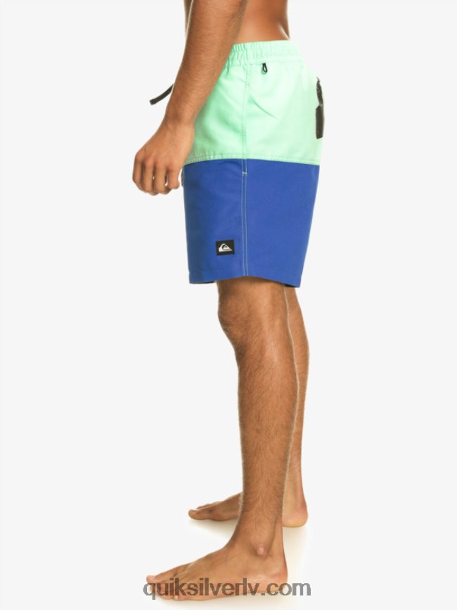 vīriešiem Quiksilver butt logo 17 zalves snorkel zils 88064R485
