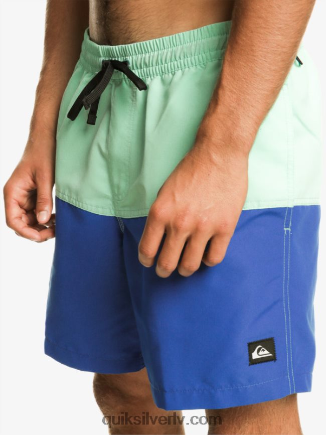 vīriešiem Quiksilver butt logo 17 zalves snorkel zils 88064R485