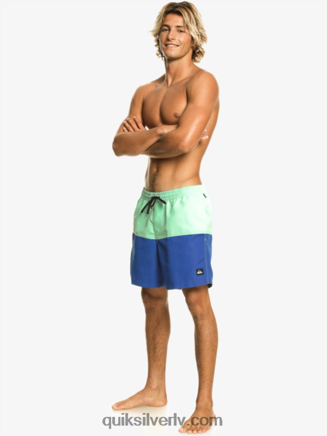 vīriešiem Quiksilver butt logo 17 zalves snorkel zils 88064R485