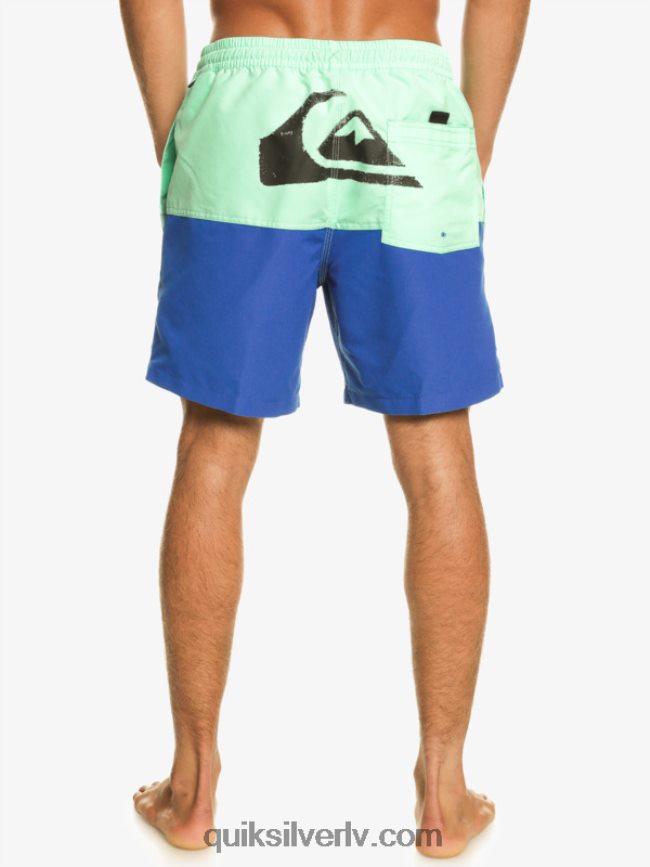 vīriešiem Quiksilver butt logo 17 zalves snorkel zils 88064R485