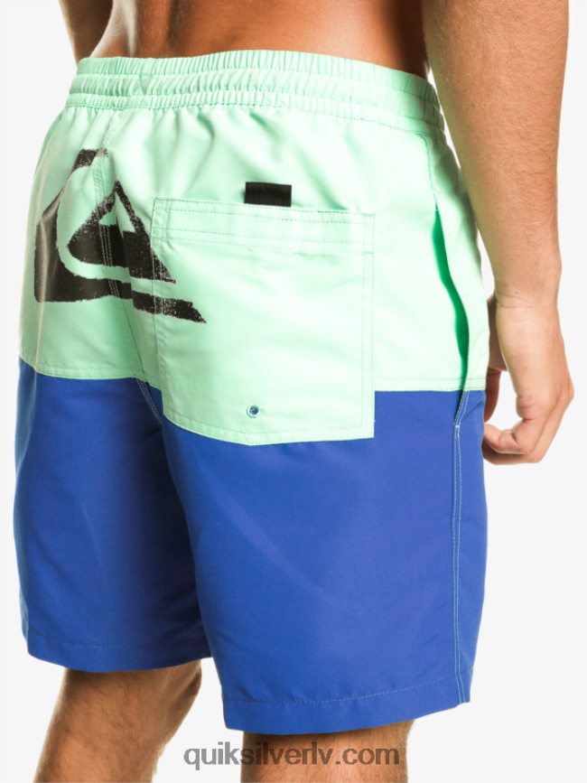 vīriešiem Quiksilver butt logo 17 zalves snorkel zils 88064R485