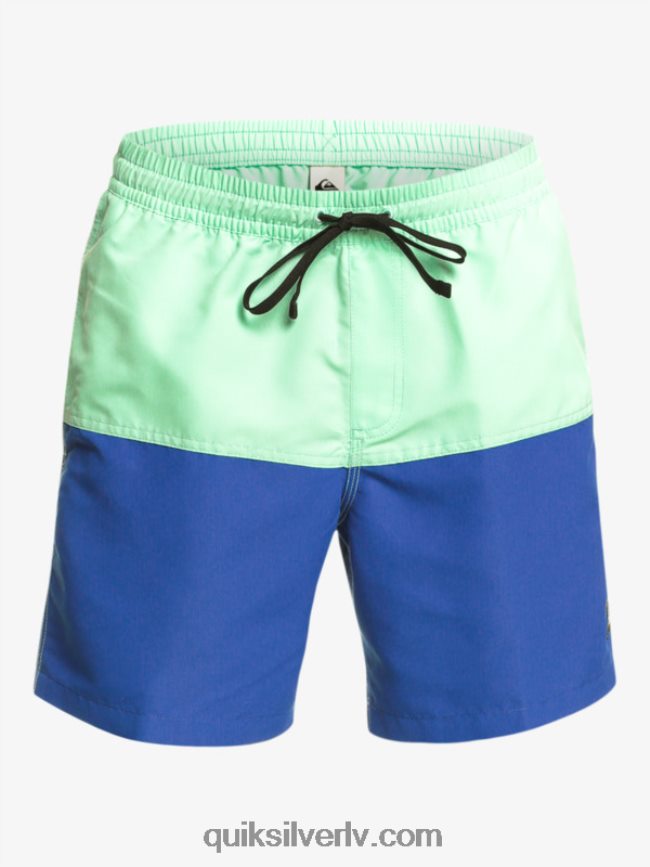 vīriešiem Quiksilver butt logo 17 zalves snorkel zils 88064R485