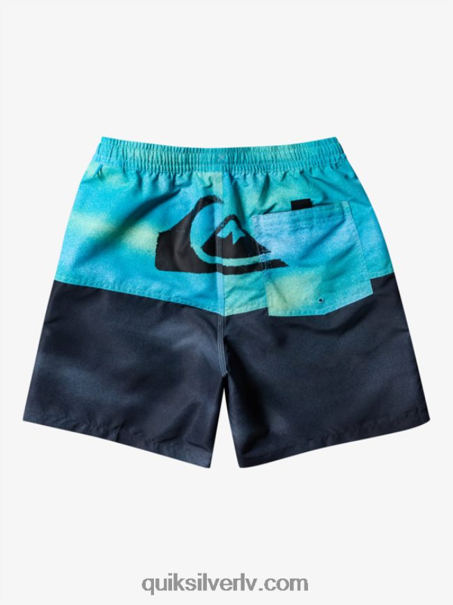 vīriešiem Quiksilver butt logo 17 zalves upe zila 88064R482