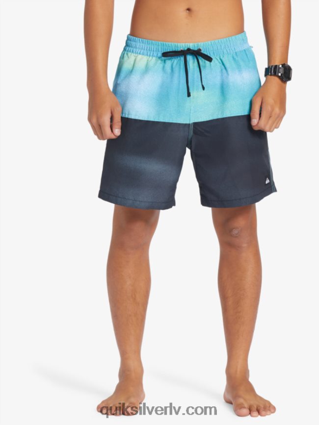 vīriešiem Quiksilver butt logo 17 zalves upe zila 88064R482