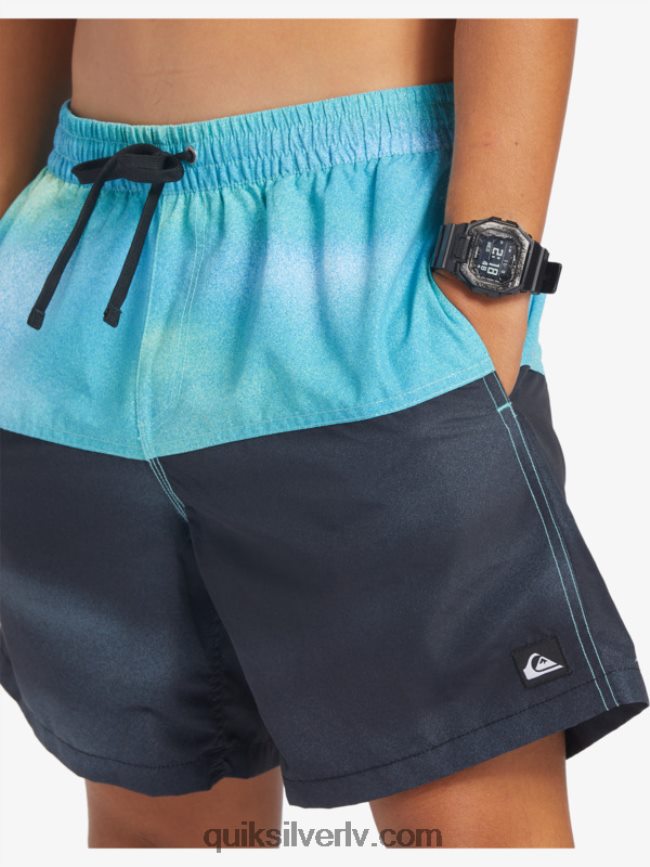 vīriešiem Quiksilver butt logo 17 zalves upe zila 88064R482