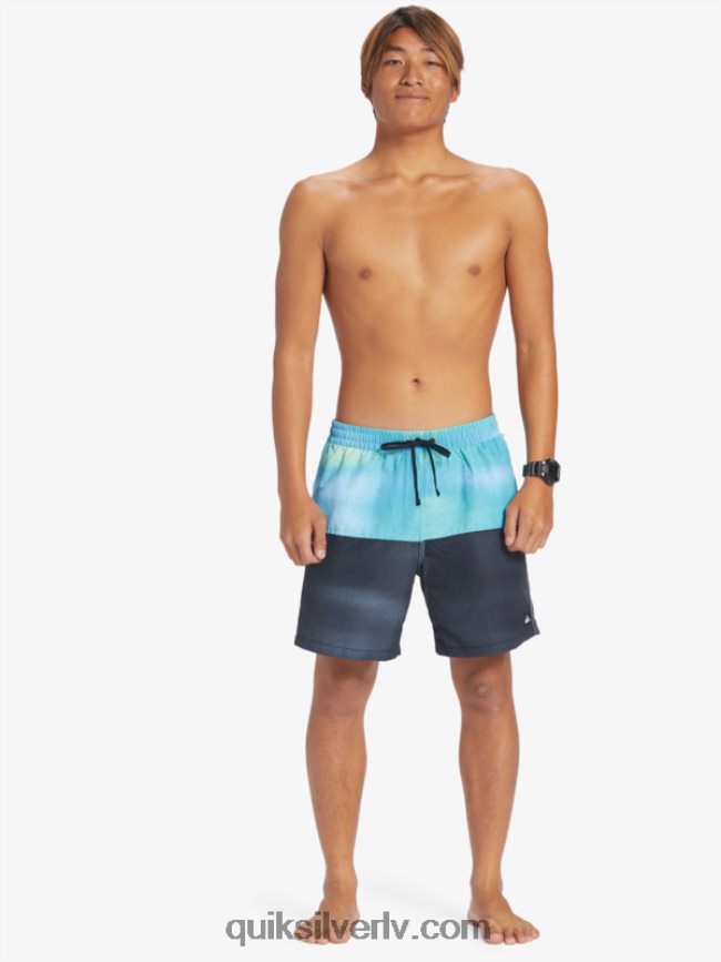 vīriešiem Quiksilver butt logo 17 zalves upe zila 88064R482