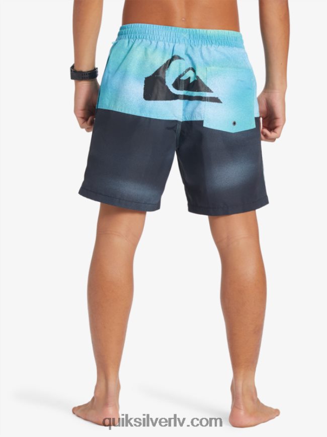 vīriešiem Quiksilver butt logo 17 zalves upe zila 88064R482
