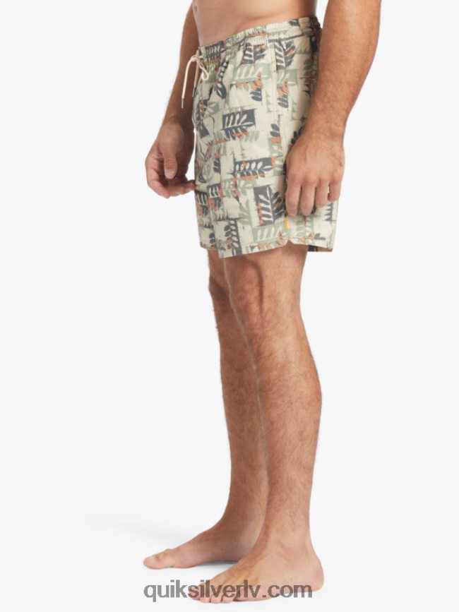 vīriešiem Quiksilver ūdenscilvēks kanoe rifs 17 zalves brūno rīsu kanoe 88064R546