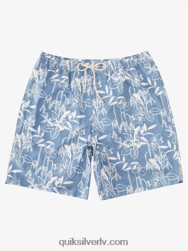 vīriešiem Quiksilver ūdenscilvēks vaļīgi ceļi 17 zalves praporščiks zils vaļīgi veidi vy 88064R940