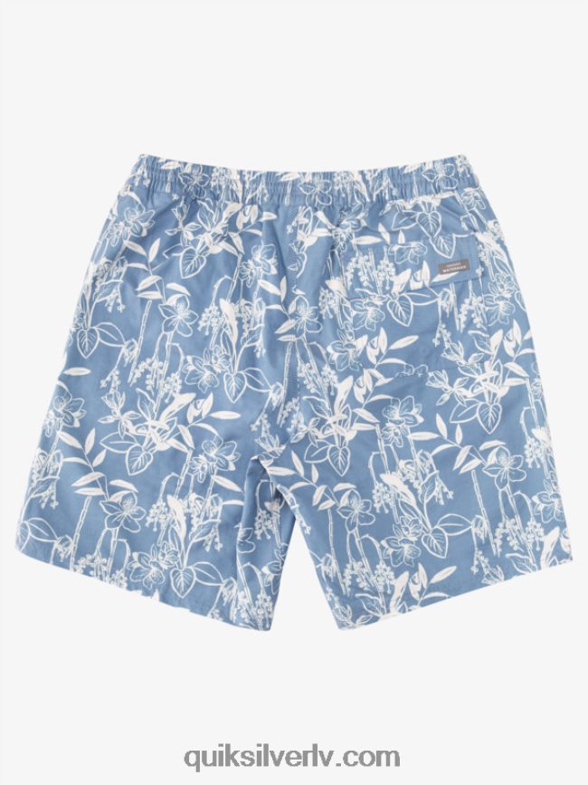 vīriešiem Quiksilver ūdenscilvēks vaļīgi ceļi 17 zalves praporščiks zils vaļīgi veidi vy 88064R940