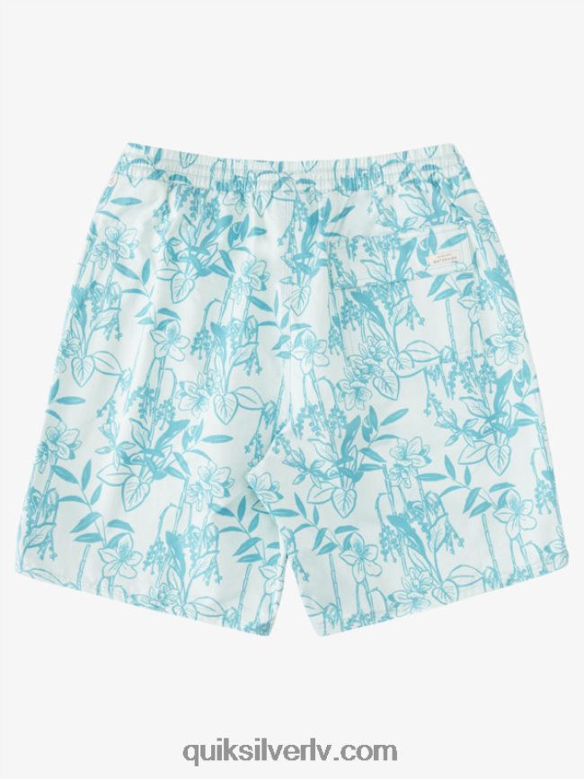 vīriešiem Quiksilver ūdenscilvēks vaļīgi ceļi 17 zalves smalks zaļš vaļīgi vy 88064R939