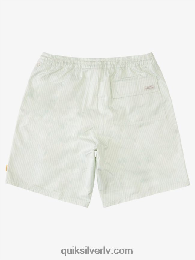vīriešiem Quiksilver ūdenscilvēku klāja svītra 19 zalves smalka zaļa klāja svītra 88064R1843