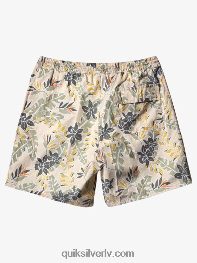 vīriešiem Quiksilver ūdensvīrs perfekti jūt 17 zalves brūnie rīsi perfekta sajūta 88064R408