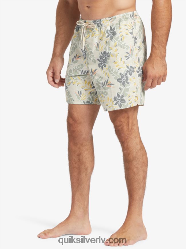 vīriešiem Quiksilver ūdensvīrs perfekti jūt 17 zalves brūnie rīsi perfekta sajūta 88064R408