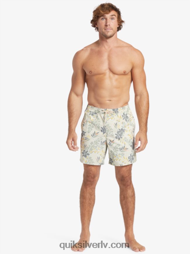 vīriešiem Quiksilver ūdensvīrs perfekti jūt 17 zalves brūnie rīsi perfekta sajūta 88064R408