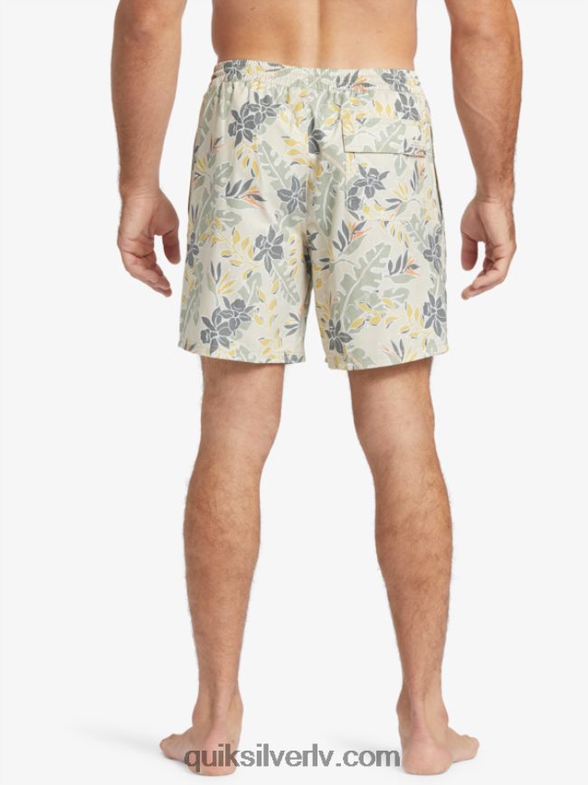 vīriešiem Quiksilver ūdensvīrs perfekti jūt 17 zalves brūnie rīsi perfekta sajūta 88064R408
