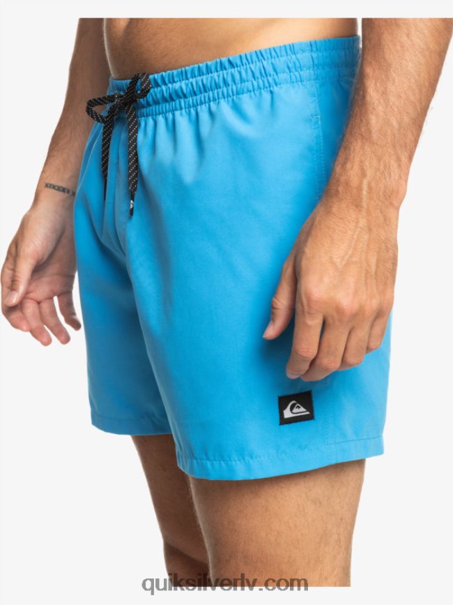 vīriešiem Quiksilver ikdienā 15 zalves blāvs 88064R461