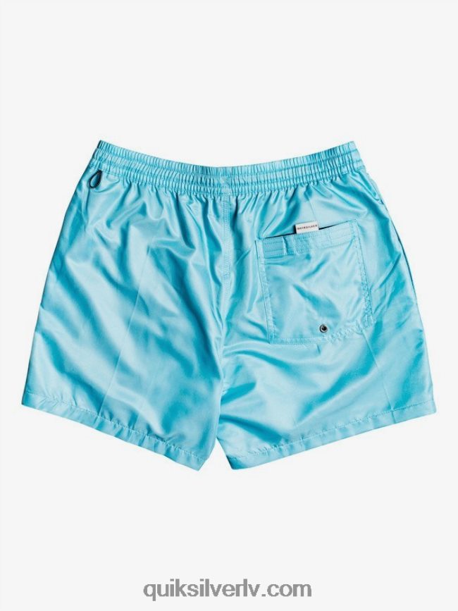 vīriešiem Quiksilver ikdienā 15 zalves klusā okeāna zils 88064R466