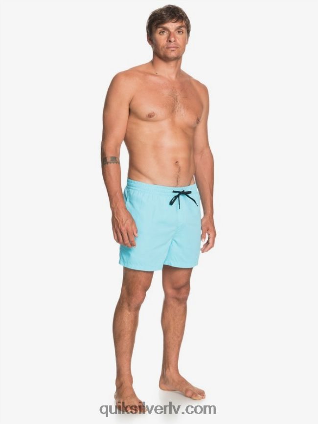vīriešiem Quiksilver ikdienā 15 zalves klusā okeāna zils 88064R466