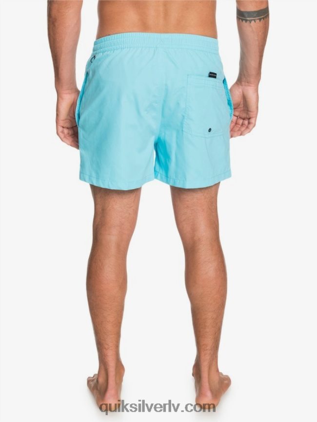 vīriešiem Quiksilver ikdienā 15 zalves klusā okeāna zils 88064R466