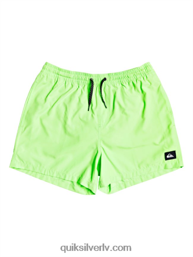 vīriešiem Quiksilver ikdienā 15 zalves zaļais gekons 88064R460