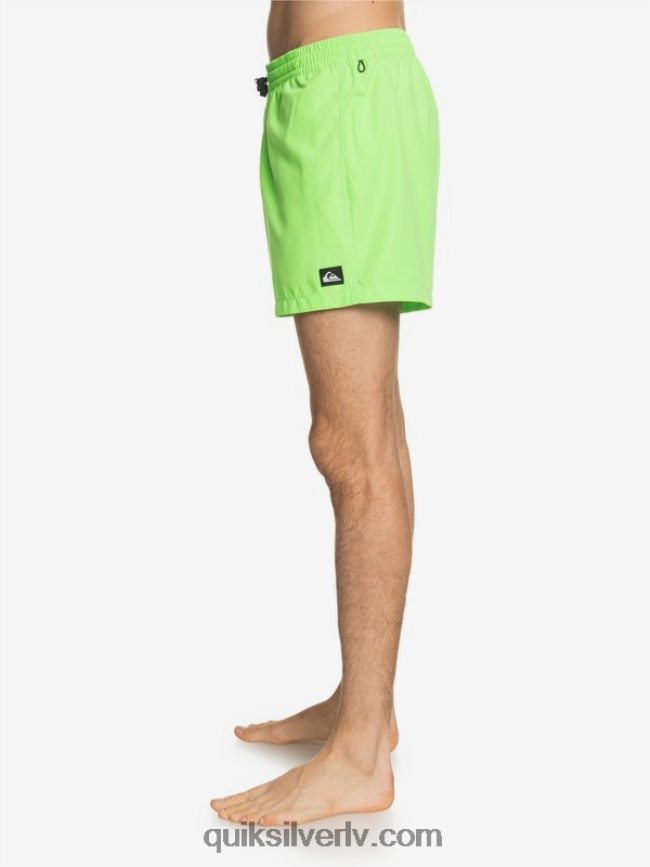 vīriešiem Quiksilver ikdienā 15 zalves zaļais gekons 88064R460