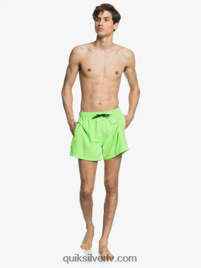 vīriešiem Quiksilver ikdienā 15 zalves zaļais gekons 88064R460