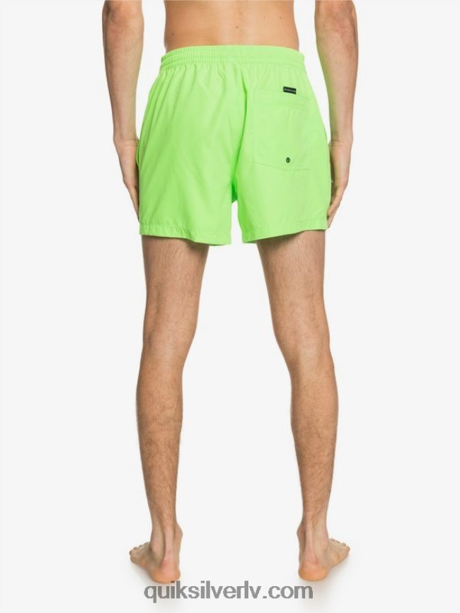 vīriešiem Quiksilver ikdienā 15 zalves zaļais gekons 88064R460
