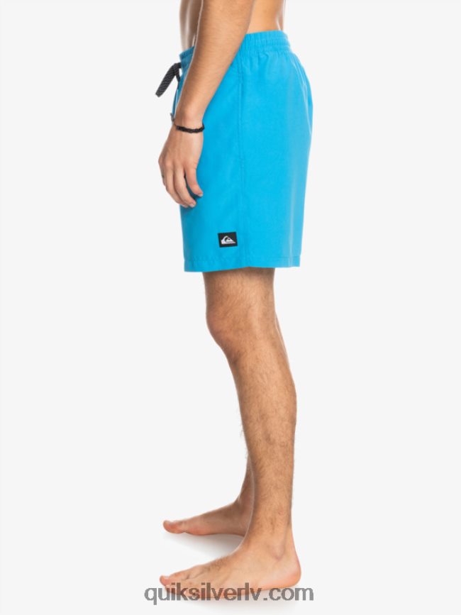 vīriešiem Quiksilver ikdienā 17 zalves blāvs 88064R622