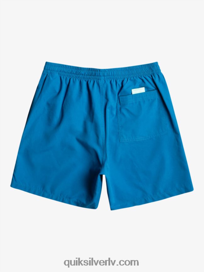 vīriešiem Quiksilver ikdienā 17 zalves snorkel zils 88064R625