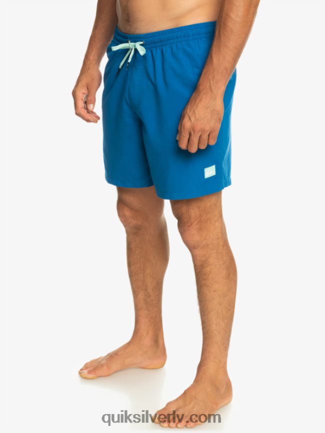 vīriešiem Quiksilver ikdienā 17 zalves snorkel zils 88064R625