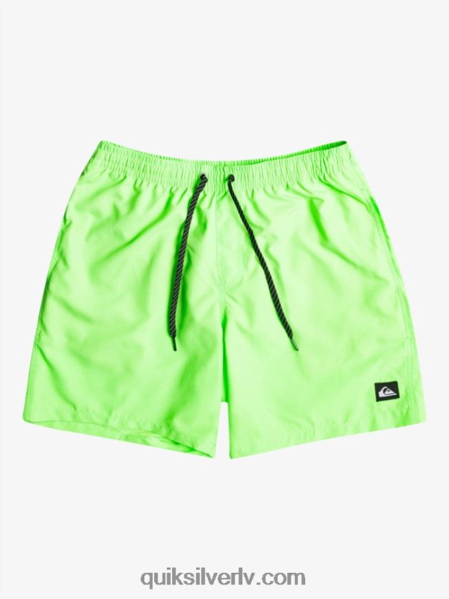 vīriešiem Quiksilver ikdienā 17 zalves zaļais gekons 88064R621