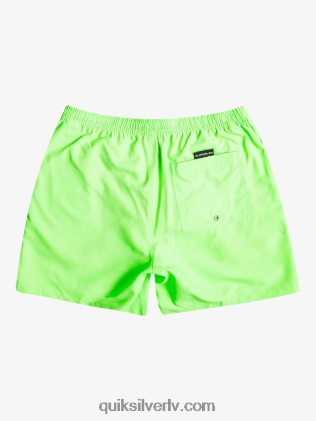 vīriešiem Quiksilver ikdienā 17 zalves zaļais gekons 88064R621