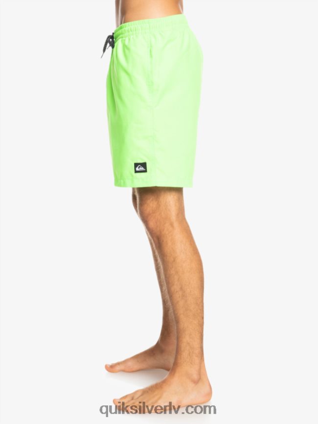 vīriešiem Quiksilver ikdienā 17 zalves zaļais gekons 88064R621